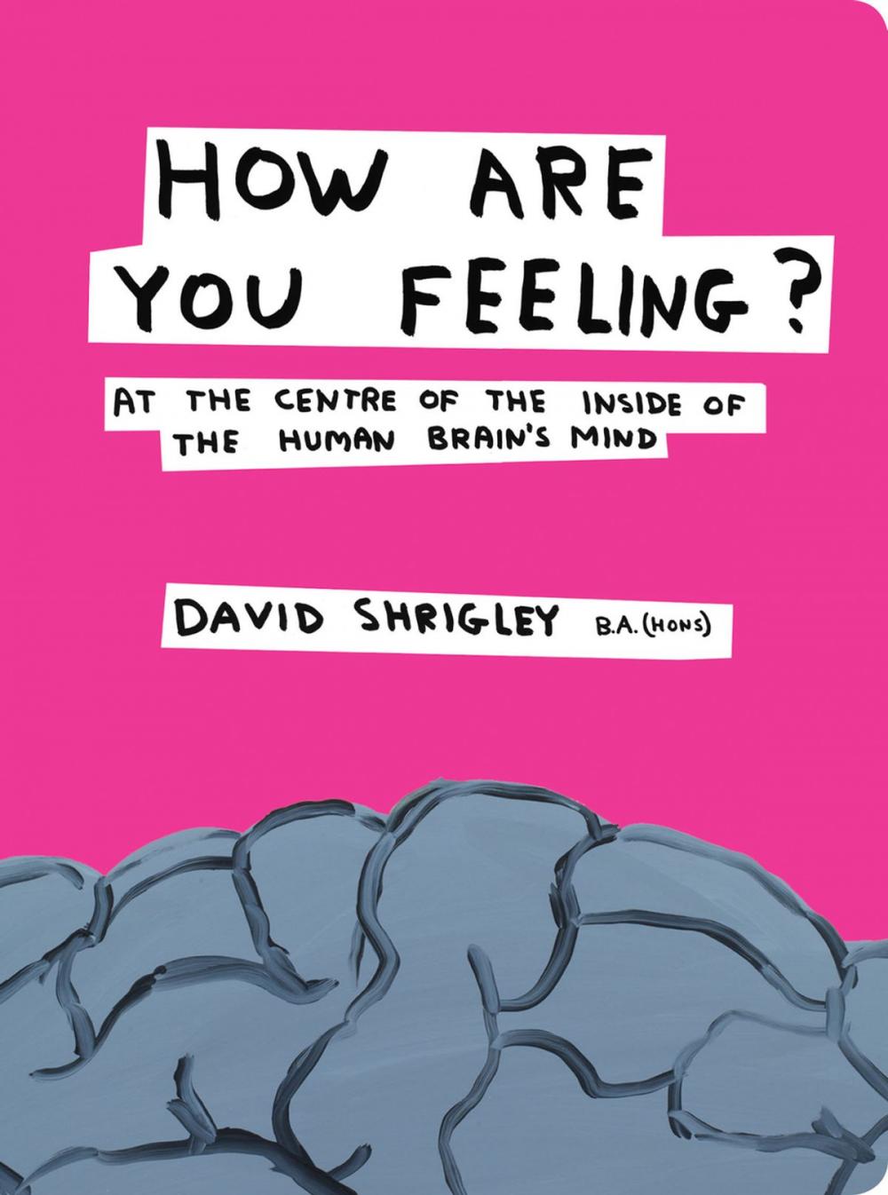 Big bigCover of How Are You Feeling?: At the Centre of the Inside of the Human Brain