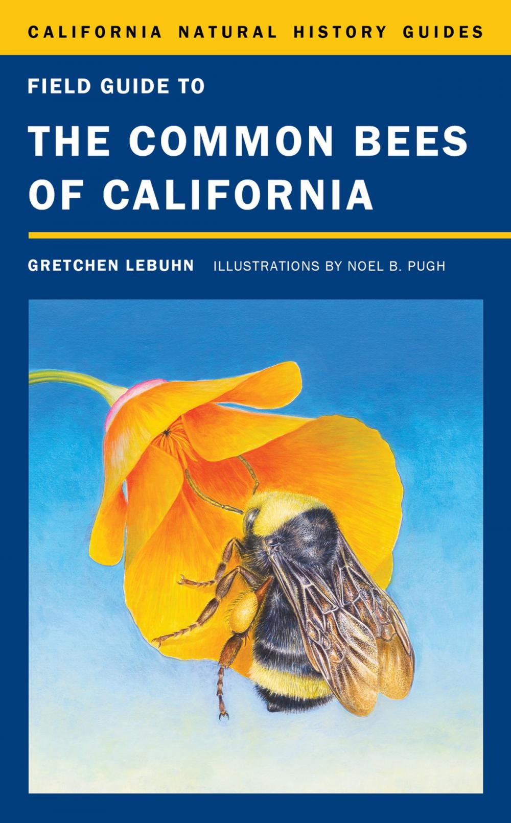 Big bigCover of Field Guide to the Common Bees of California