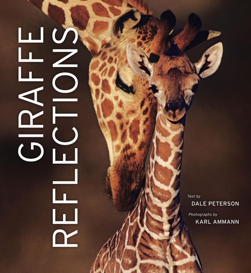 Big bigCover of Giraffe Reflections