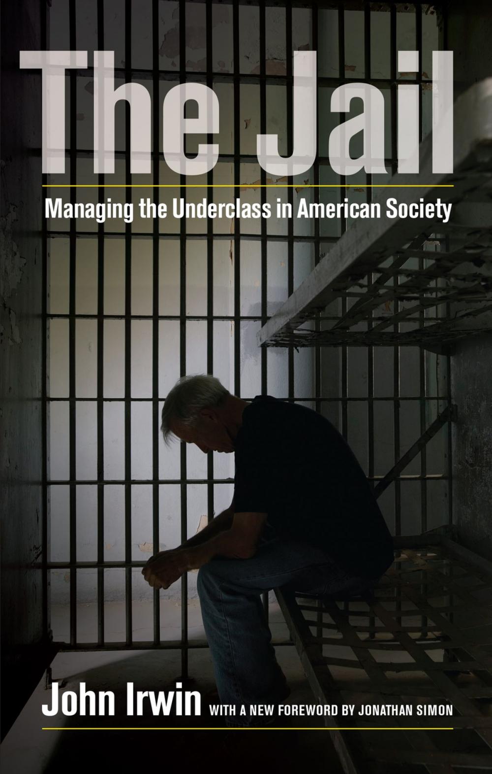 Big bigCover of The Jail