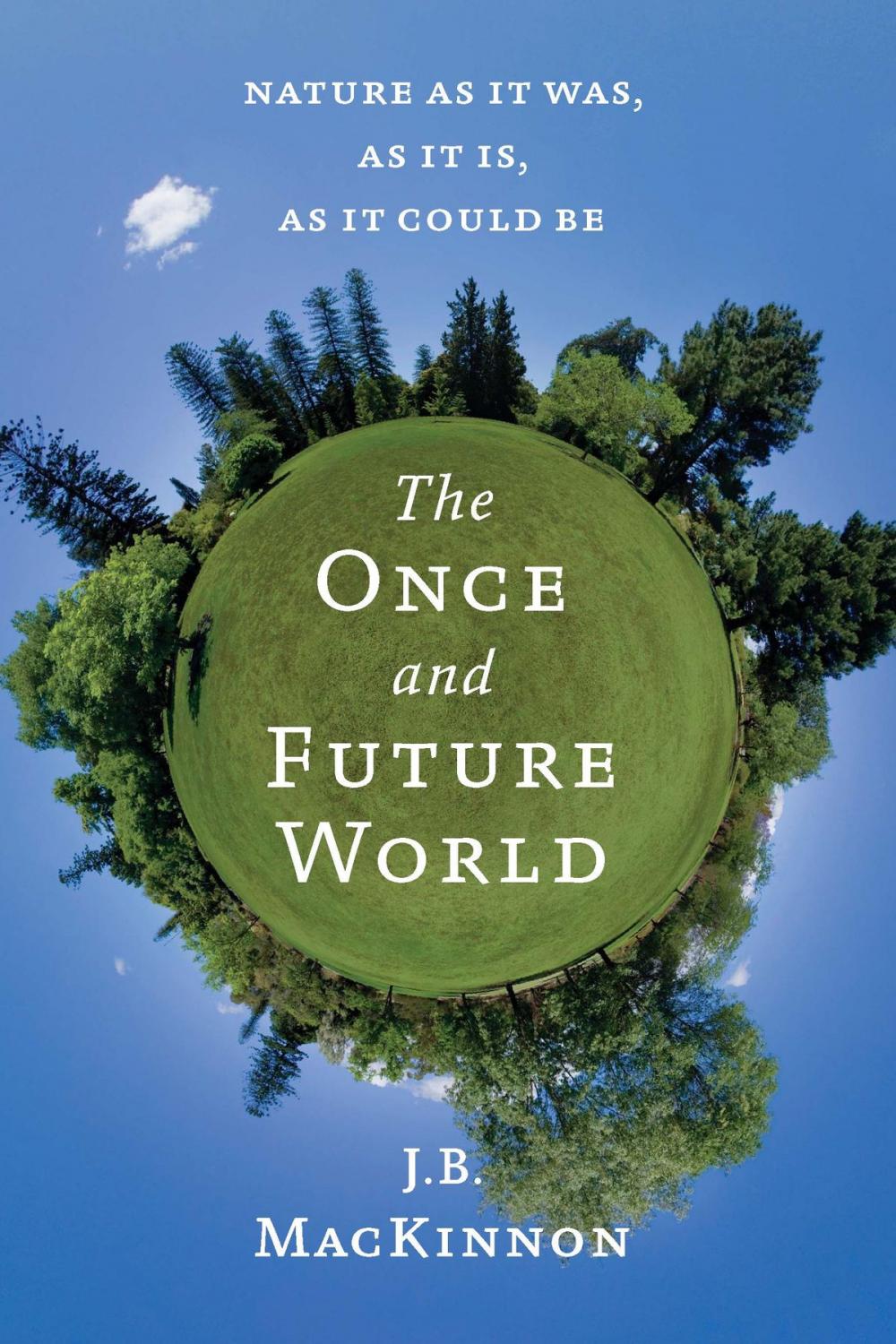 Big bigCover of The Once and Future World