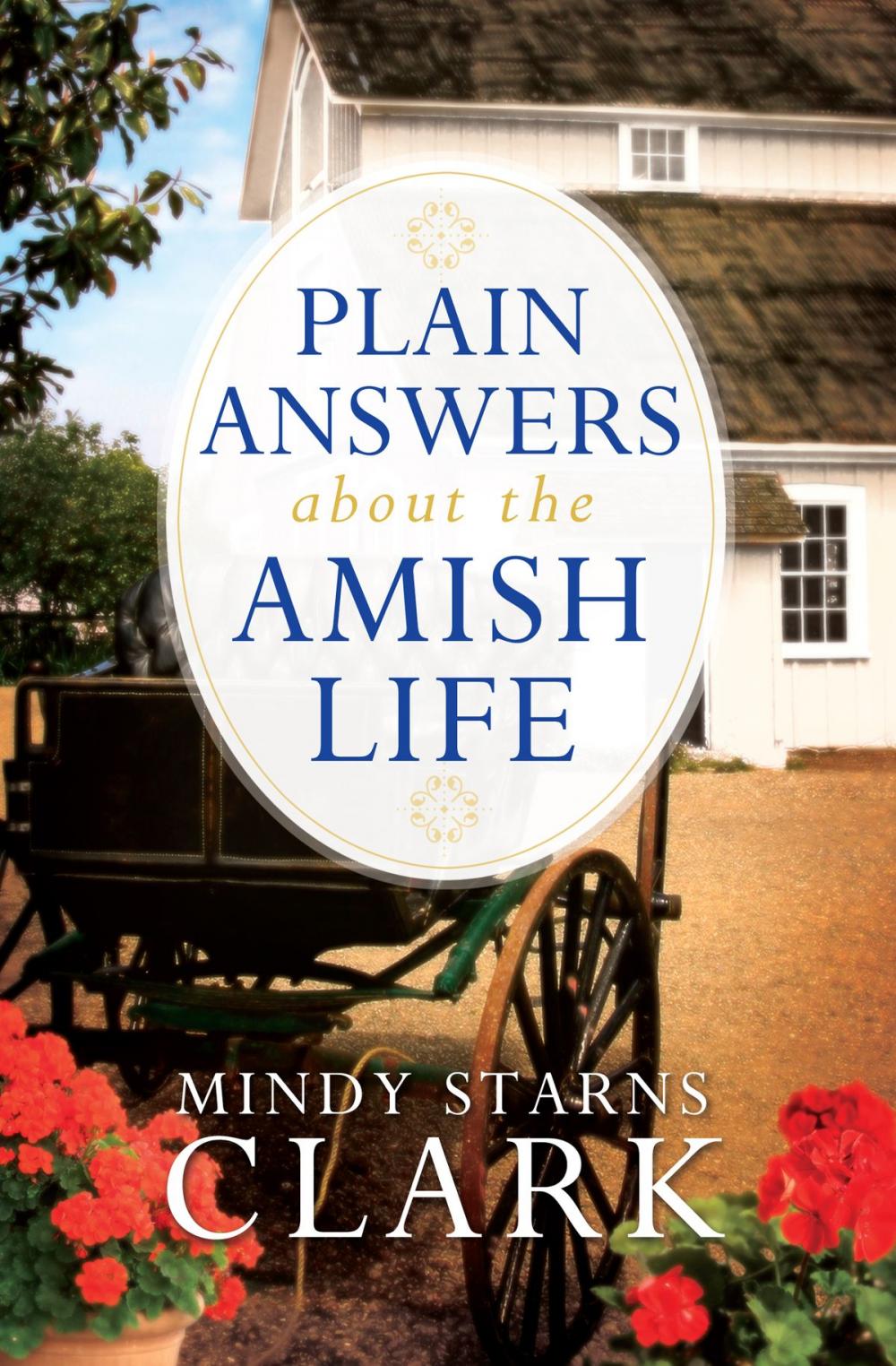 Big bigCover of Plain Answers About the Amish Life