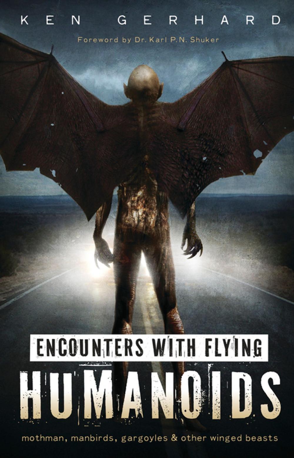 Big bigCover of Encounters with Flying Humanoids