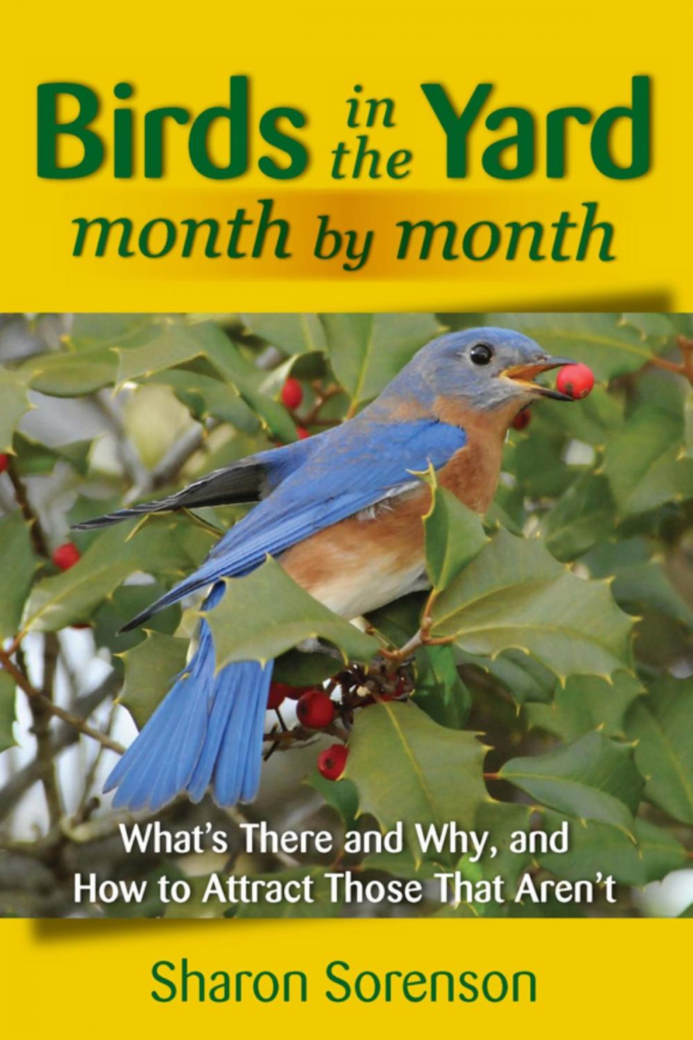 Big bigCover of Birds in the Yard Month by Month