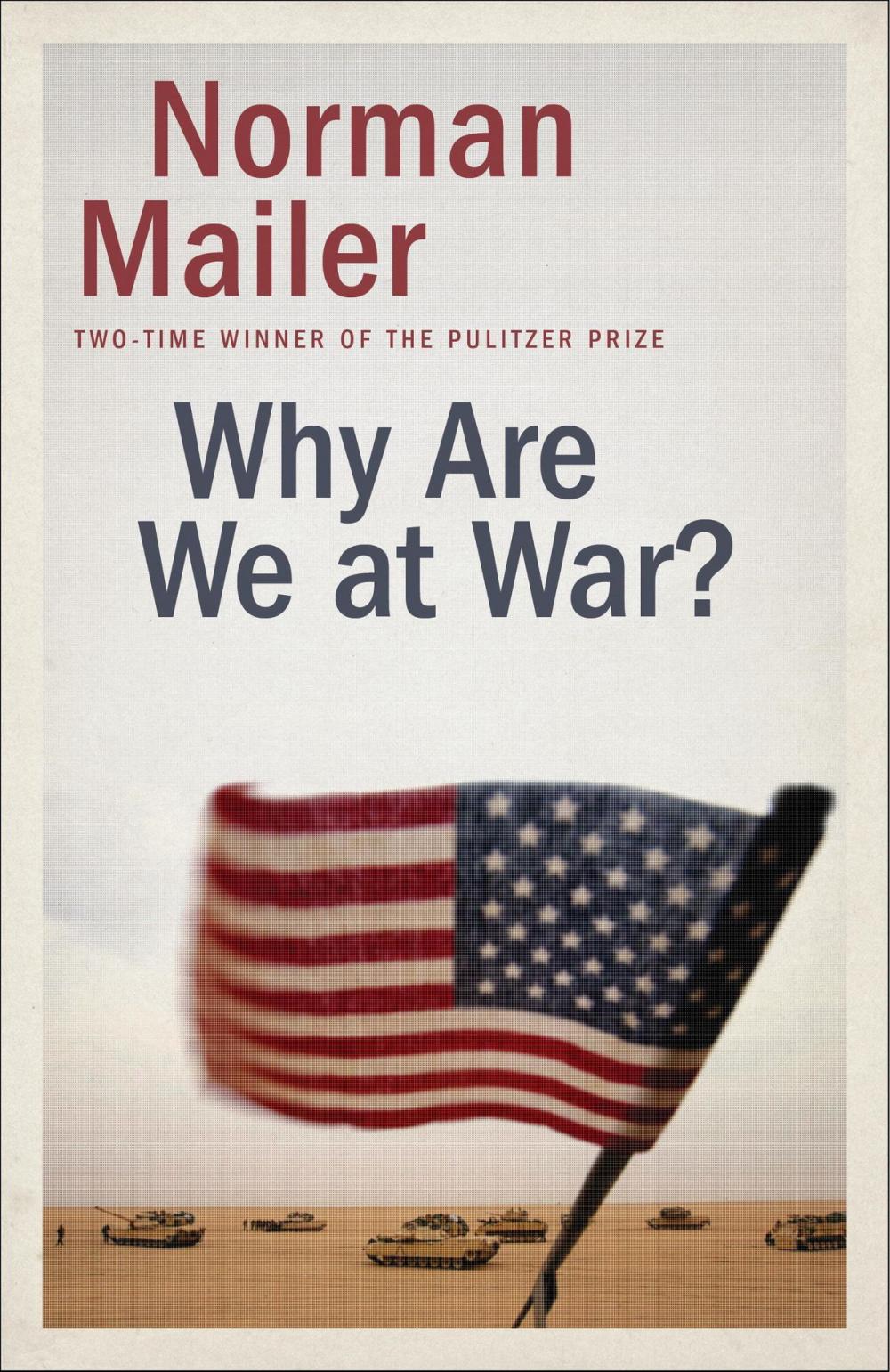 Big bigCover of Why Are We at War?