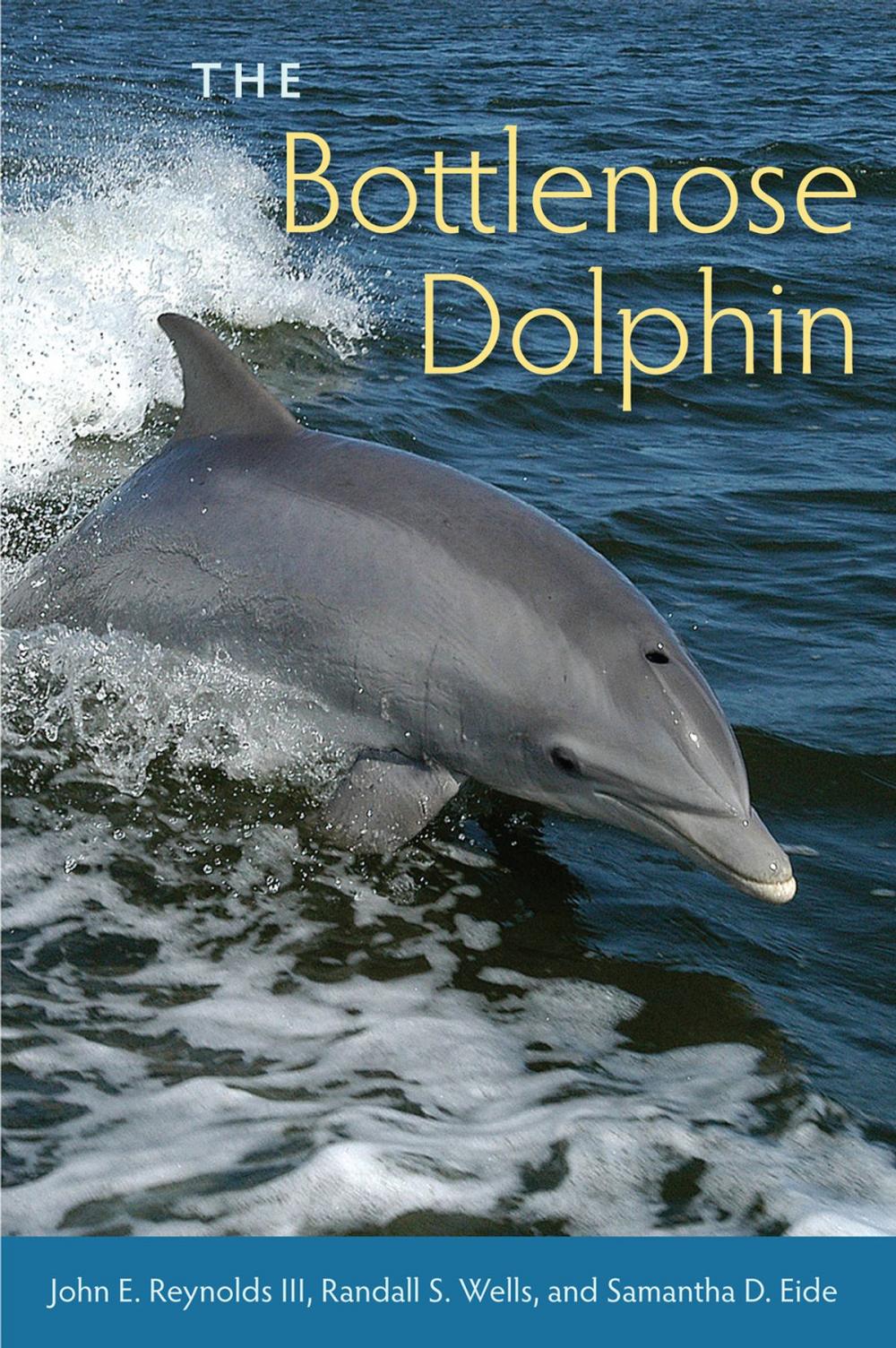 Big bigCover of The Bottlenose Dolphin