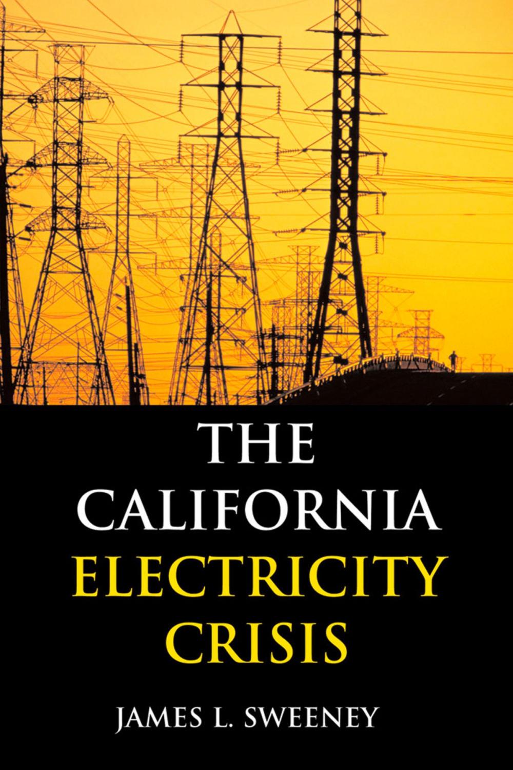 Big bigCover of The California Electricity Crisis