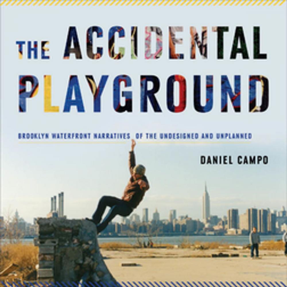 Big bigCover of The Accidental Playground