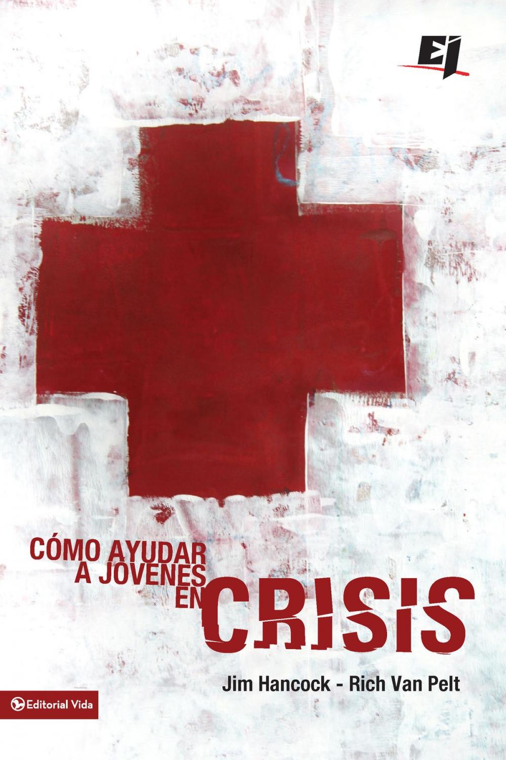 Big bigCover of Cómo ayudar a jóvenes en crisis