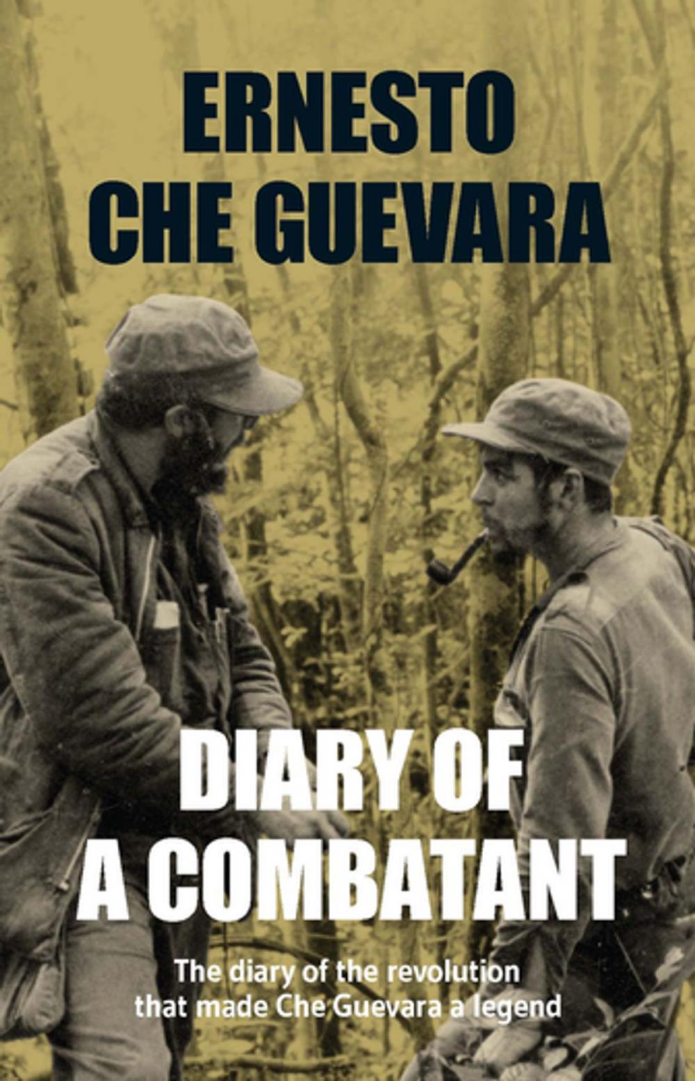 Big bigCover of Diary of a Combatant