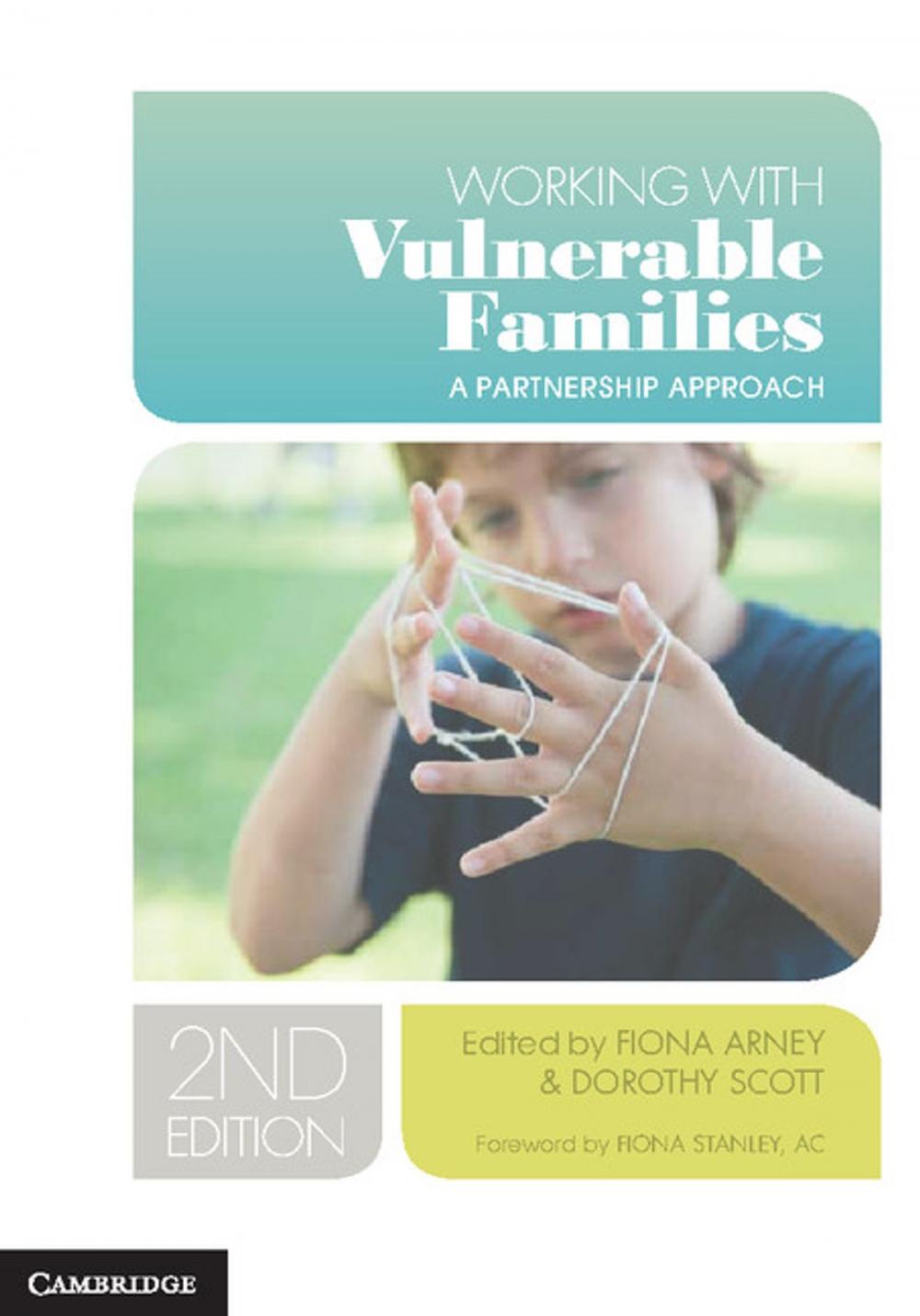 Big bigCover of Working with Vulnerable Families