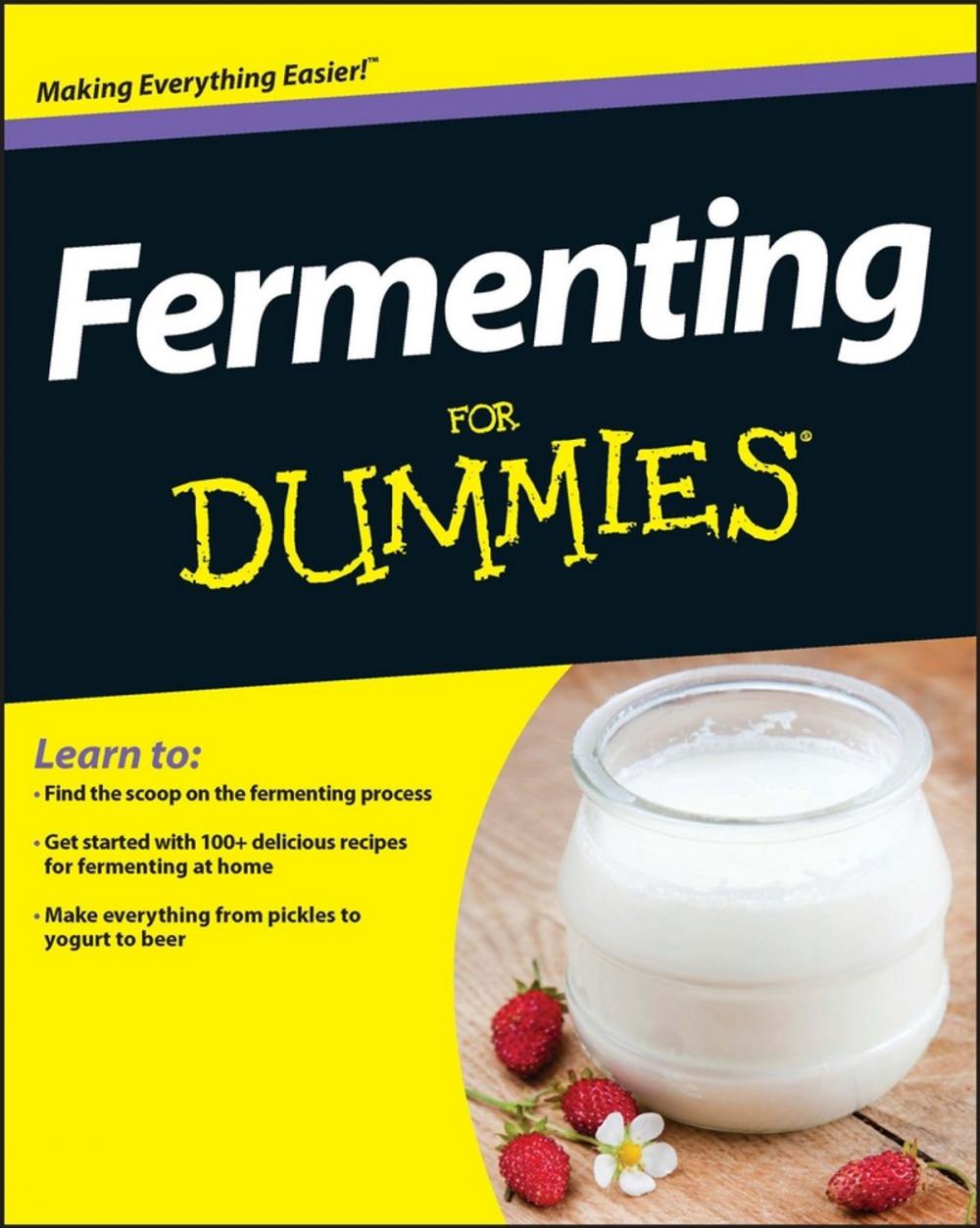 Big bigCover of Fermenting For Dummies