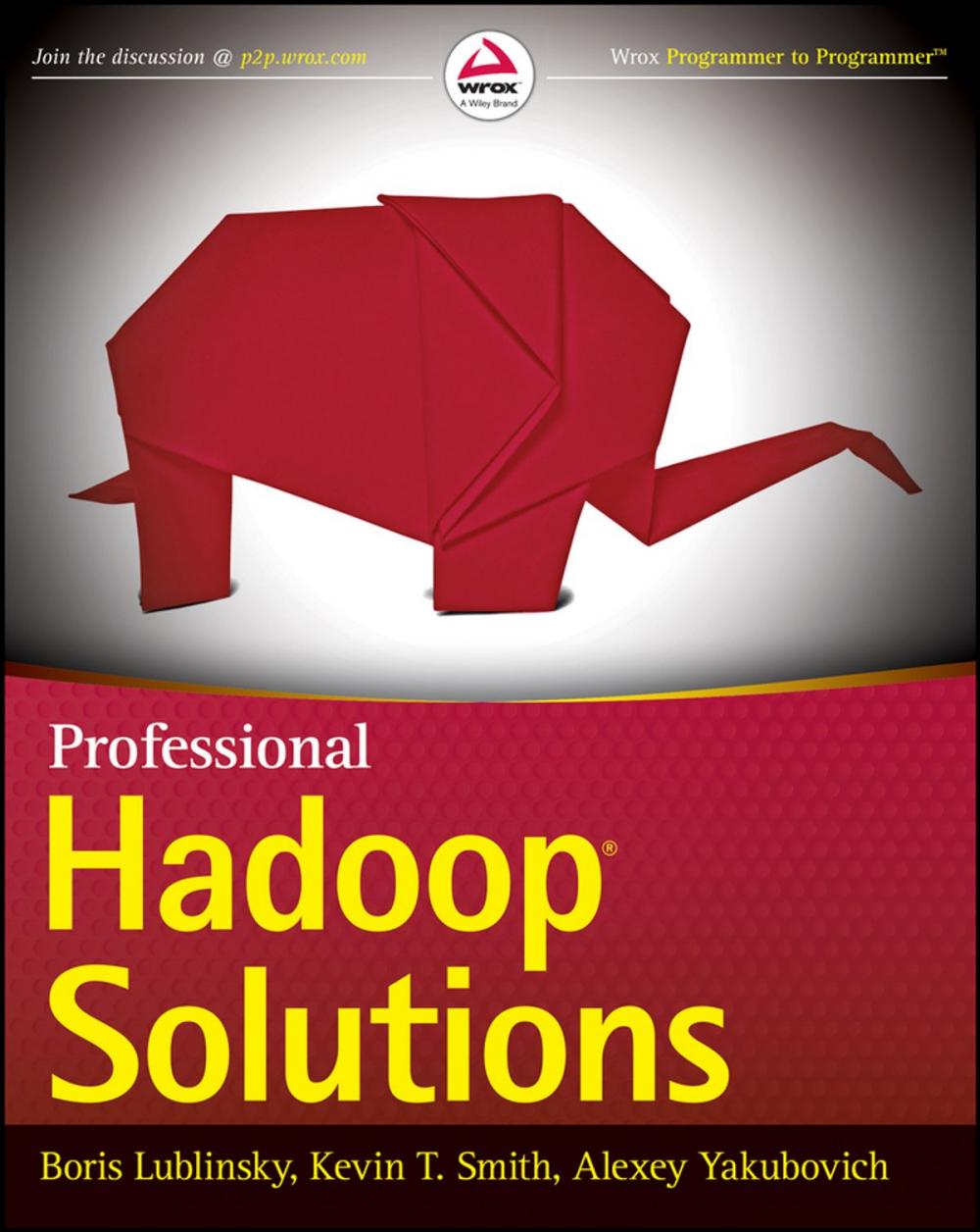 Big bigCover of Professional Hadoop Solutions