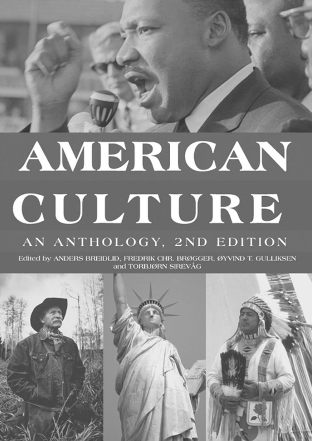 Big bigCover of American Culture