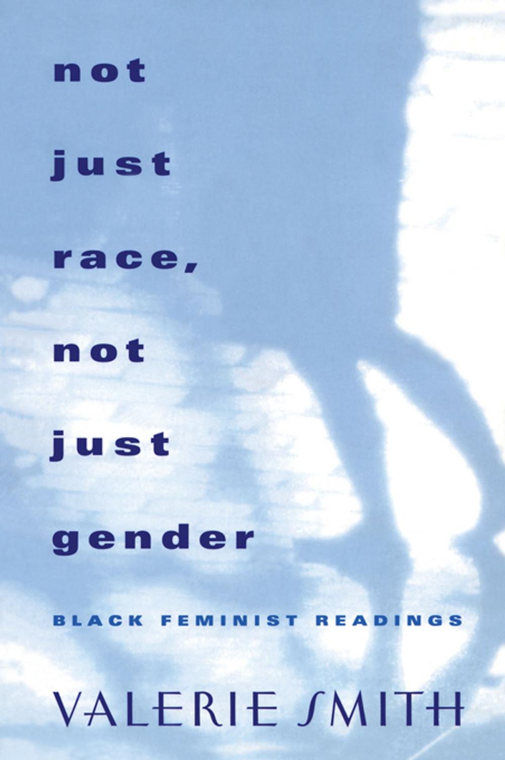 Big bigCover of Not Just Race, Not Just Gender