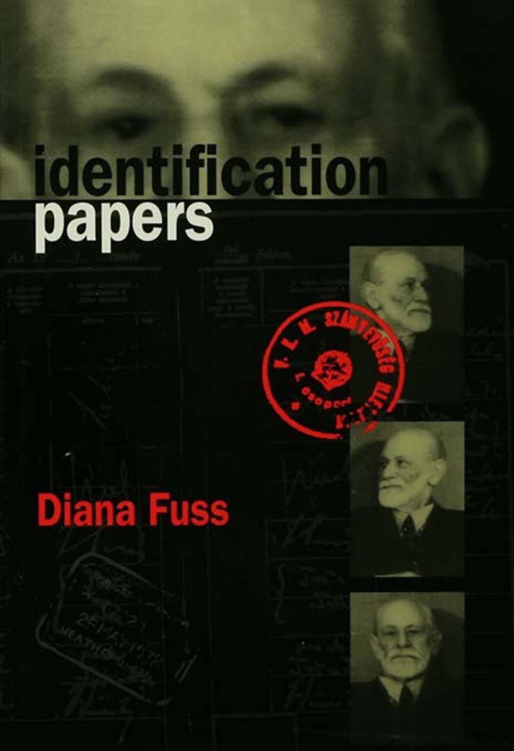 Big bigCover of Identification Papers