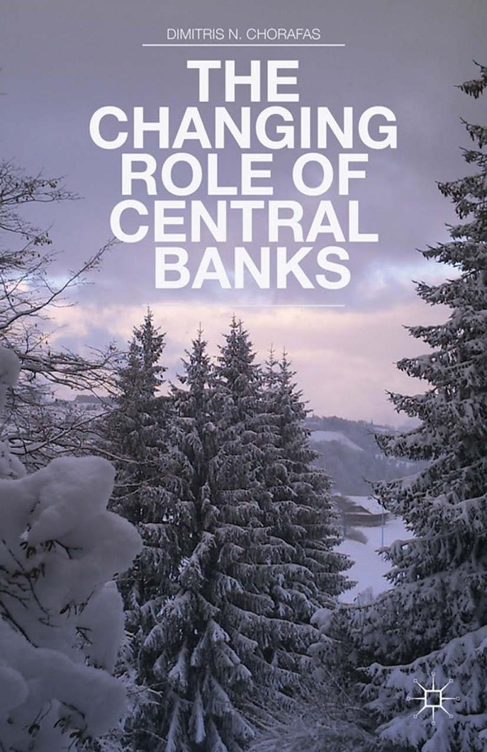 Big bigCover of The Changing Role of Central Banks