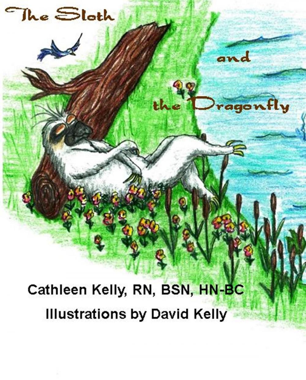 Big bigCover of The Sloth and the Dragonfly