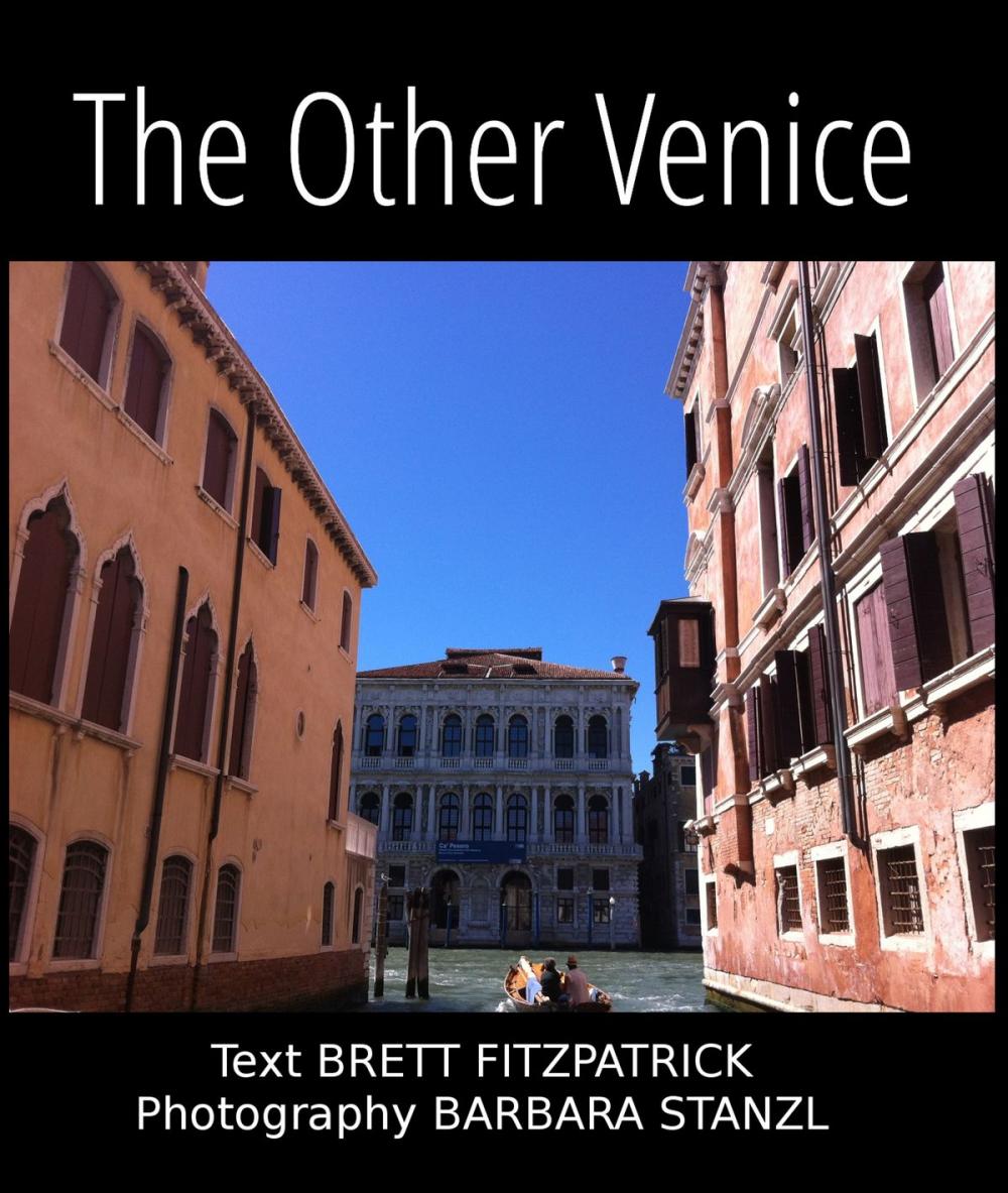 Big bigCover of The Other Venice