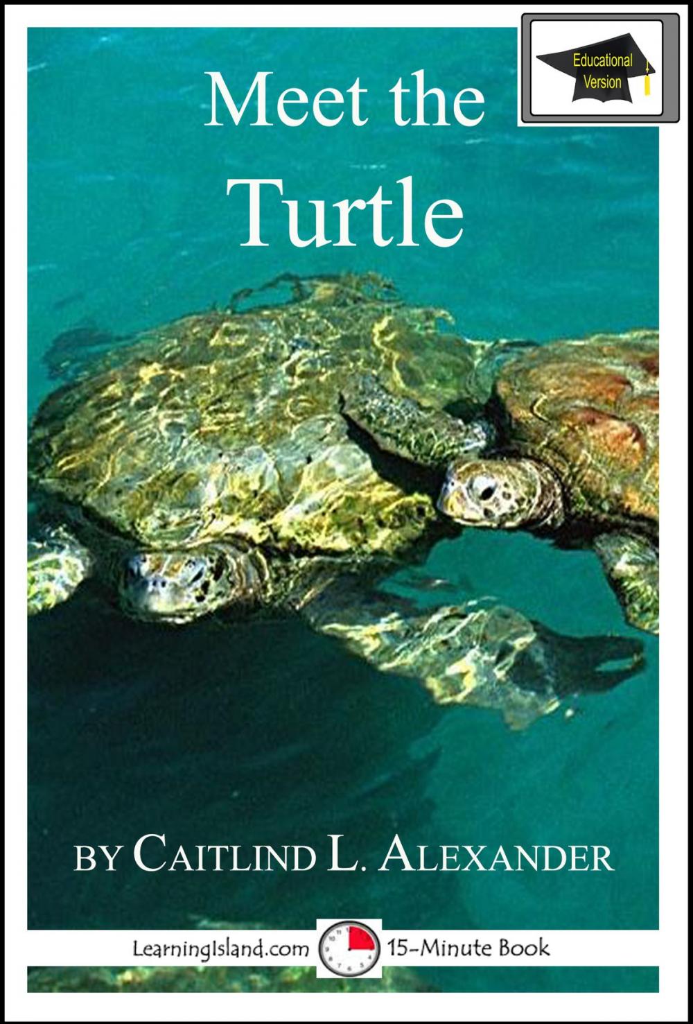 Big bigCover of Meet the Turtle: Educational Version