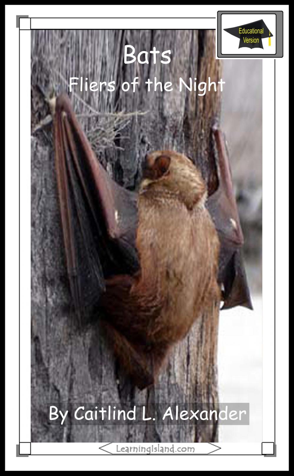 Big bigCover of Bats: Fliers of the Night: Educational Version