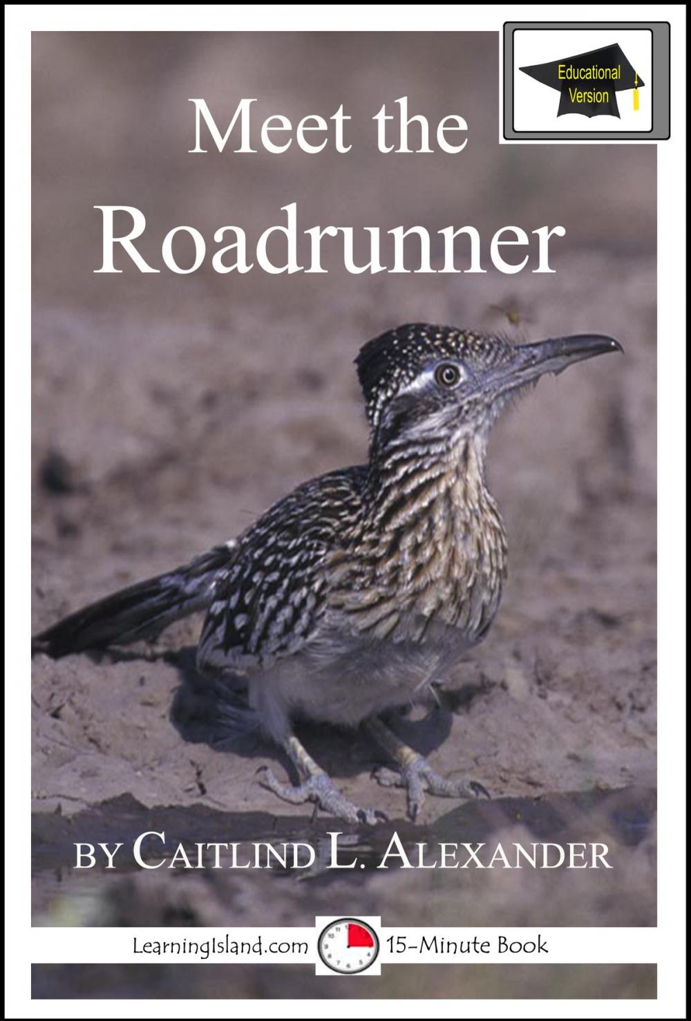 Big bigCover of Meet the Roadrunner: Educational Version