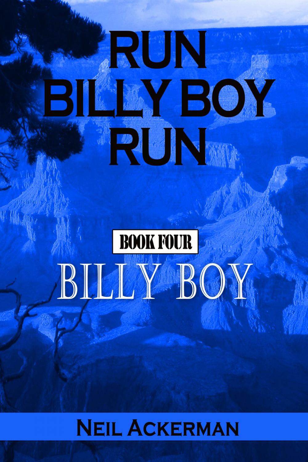 Big bigCover of Run Billy Boy Run, Book Four: Billy Boy