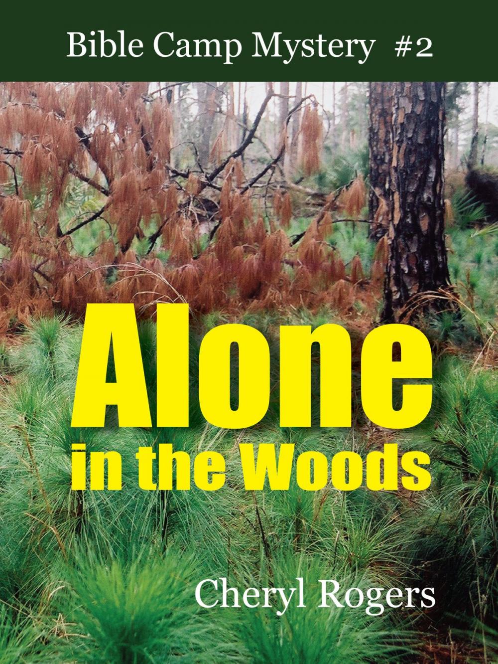 Big bigCover of Alone in the Woods: A Bible Camp Mystery