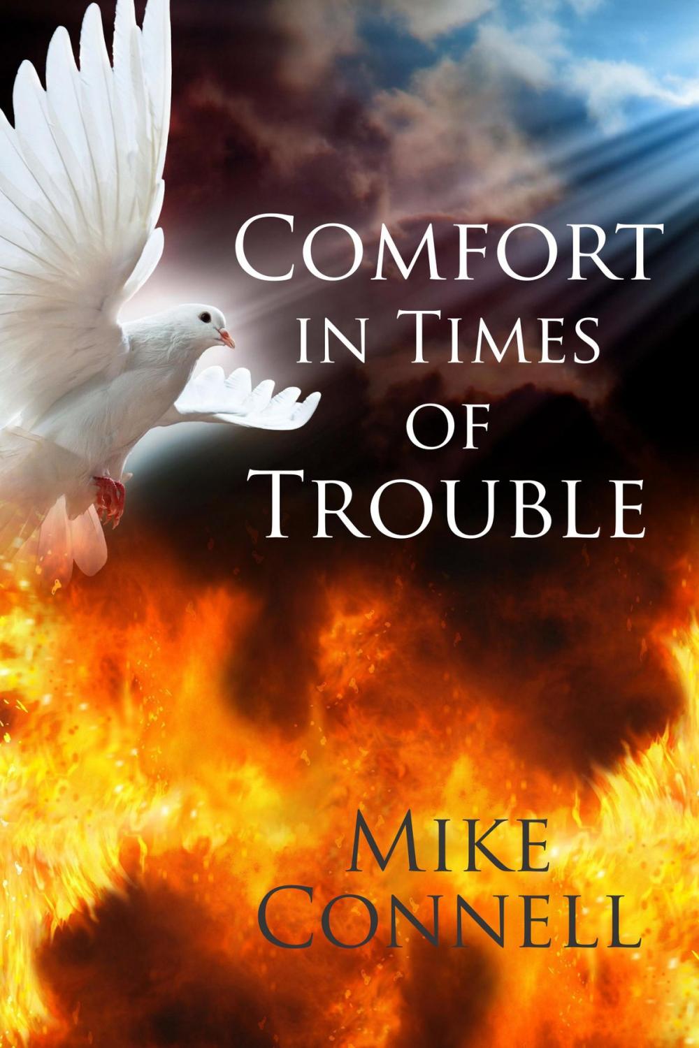Big bigCover of Comfort in Times of Trouble