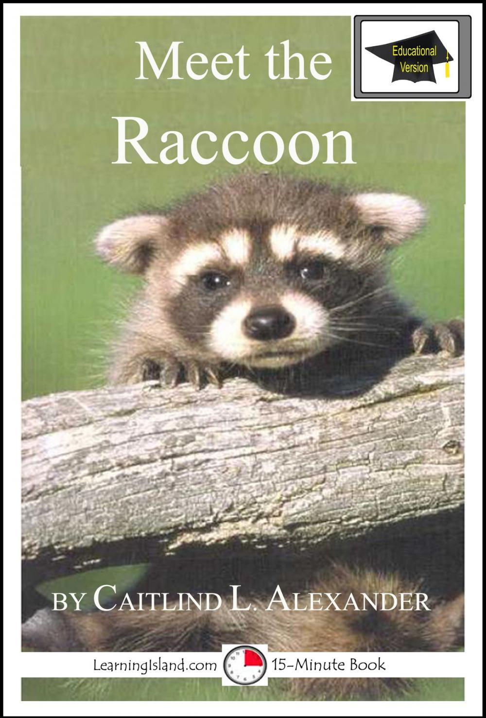 Big bigCover of Meet the Raccoon: Educational Version