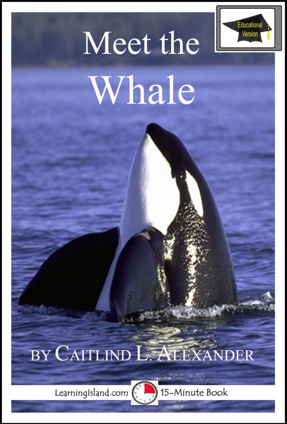 Big bigCover of Meet the Whale: Educational Version