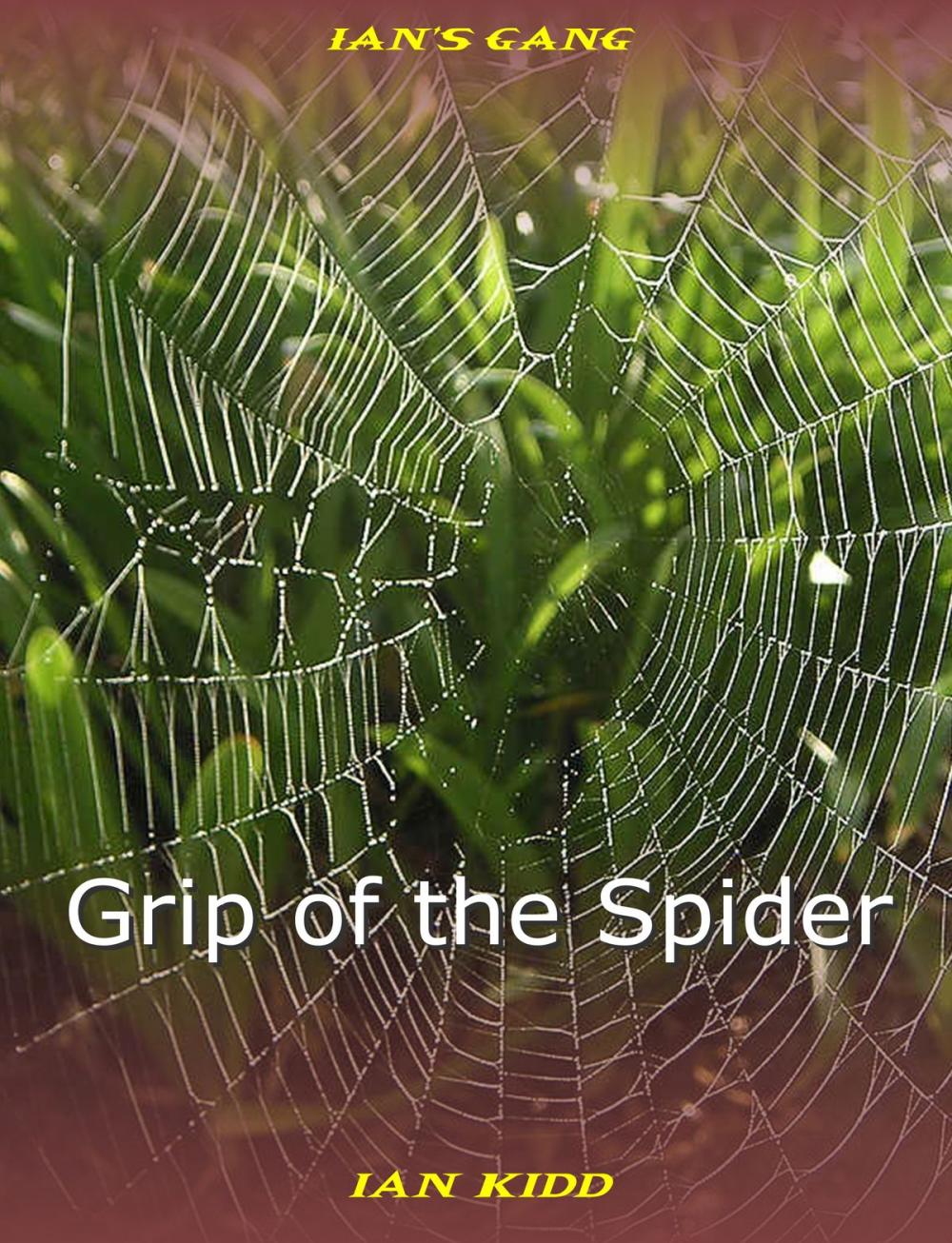 Big bigCover of Ian's Gang: Grip of the Spider