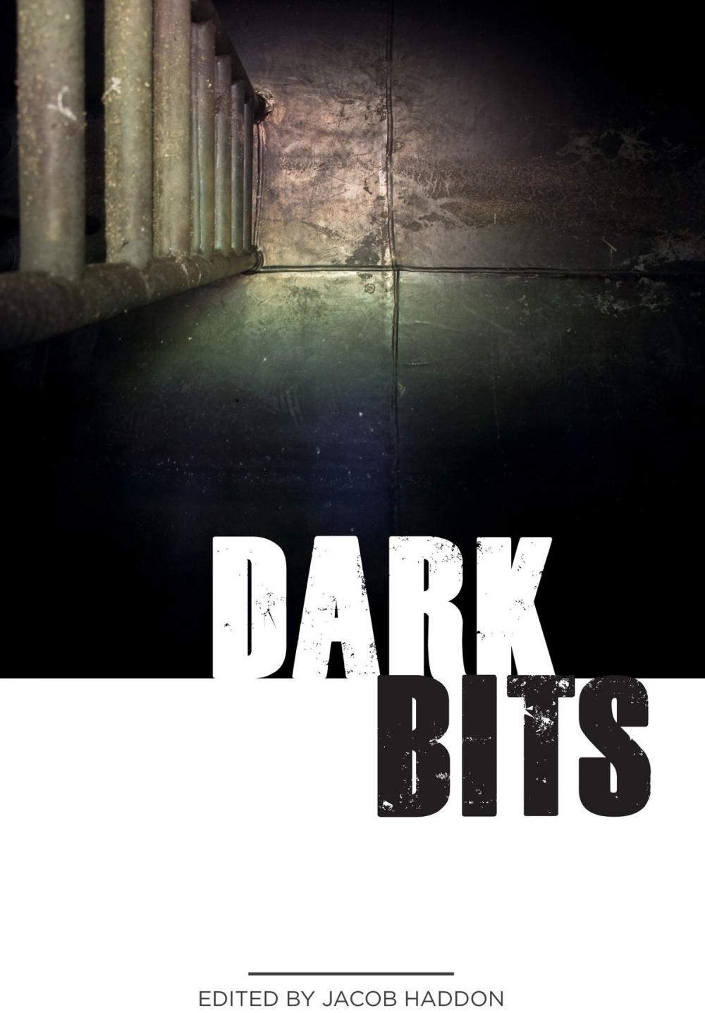 Big bigCover of Dark Bits