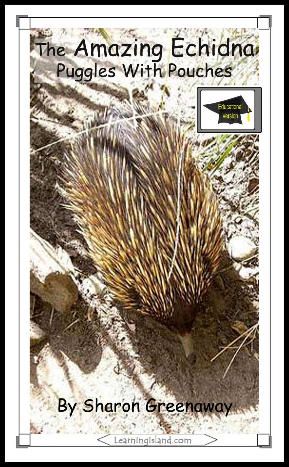 Big bigCover of The Amazing Echidna: Puggles in Pouches: Educational Version