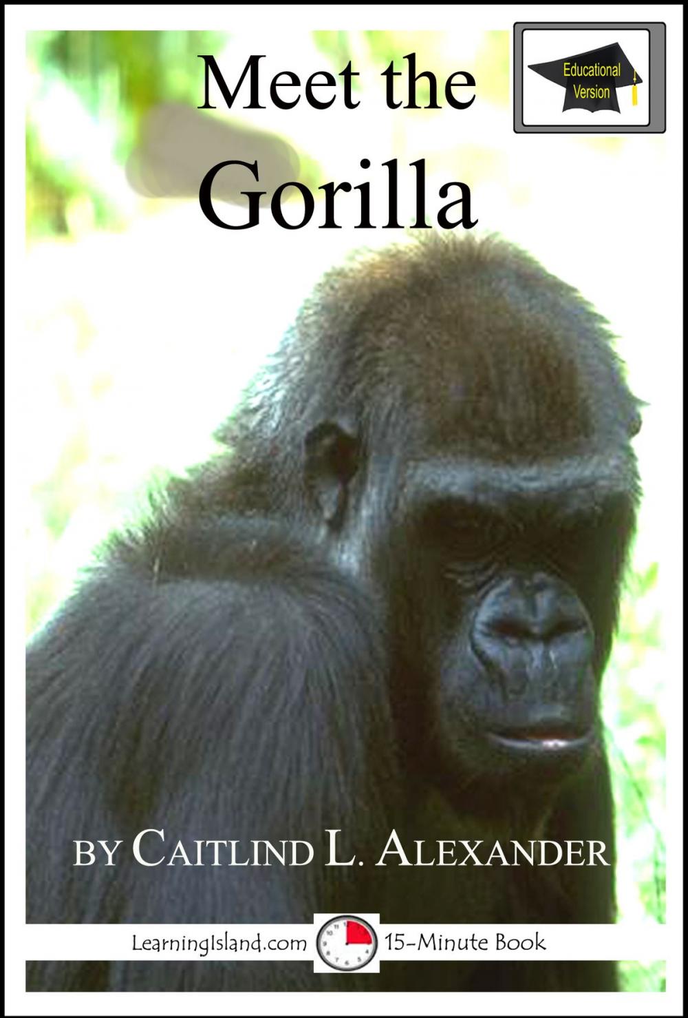 Big bigCover of Meet the Gorilla: Educational Version