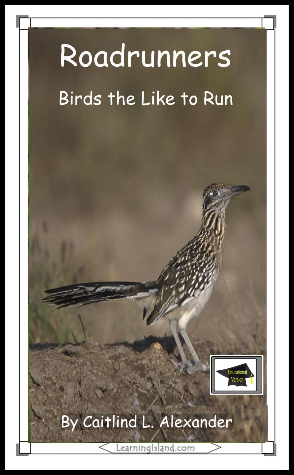 Big bigCover of Roadrunners: Birds that Like to Run: Educational Version