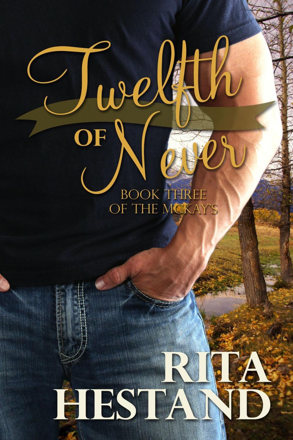 Big bigCover of Twelfth of Never (Book 3 of the McKay series)