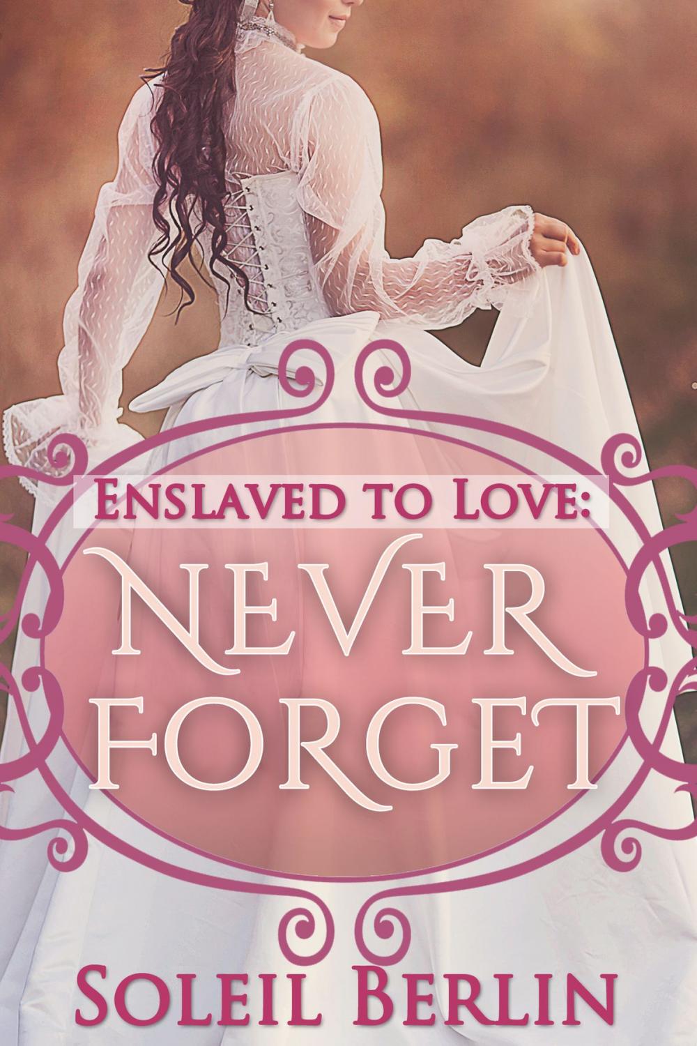 Big bigCover of Enslaved to Love: Never Forget