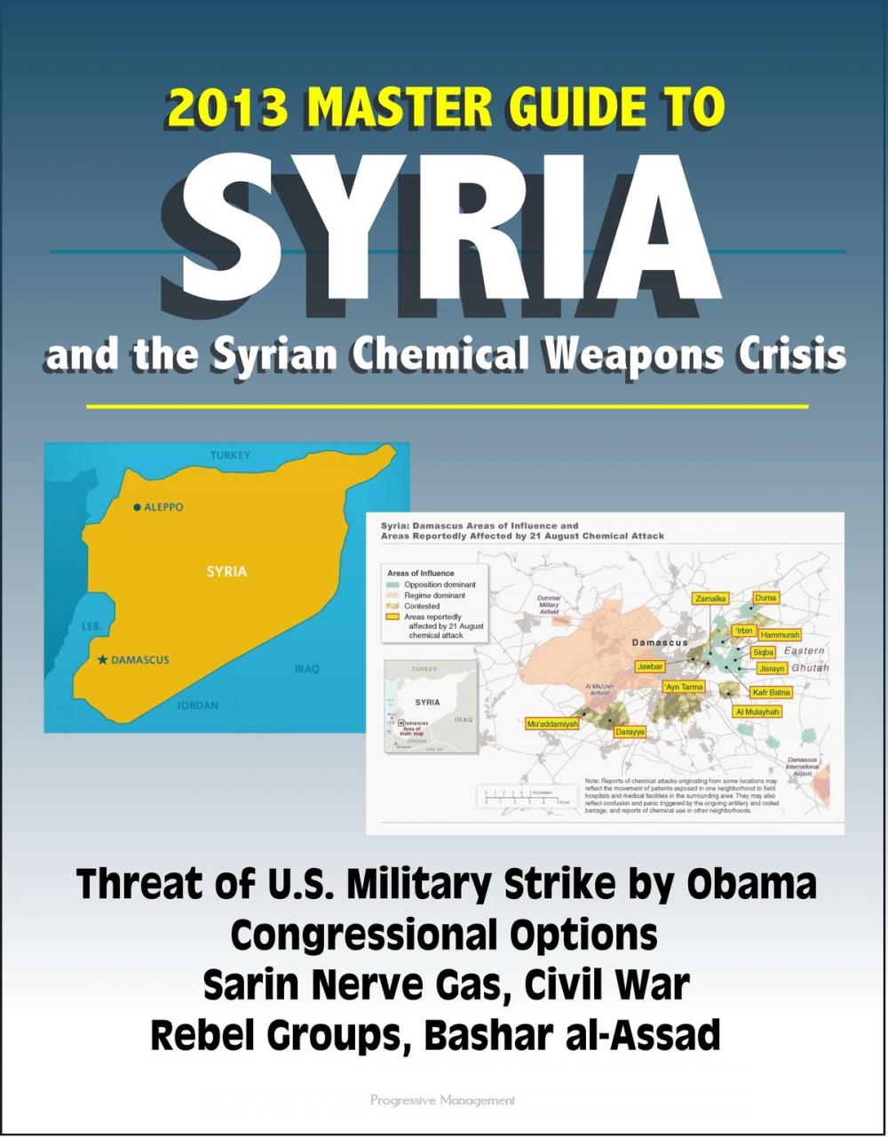 Big bigCover of 2013 Master Guide to Syria and the Syrian Chemical Weapons Crisis: Threat of U.S. Military Strike by Obama, Congressional Options, Sarin Nerve Gas, Civil War, Rebel Groups, Bashar al-Assad