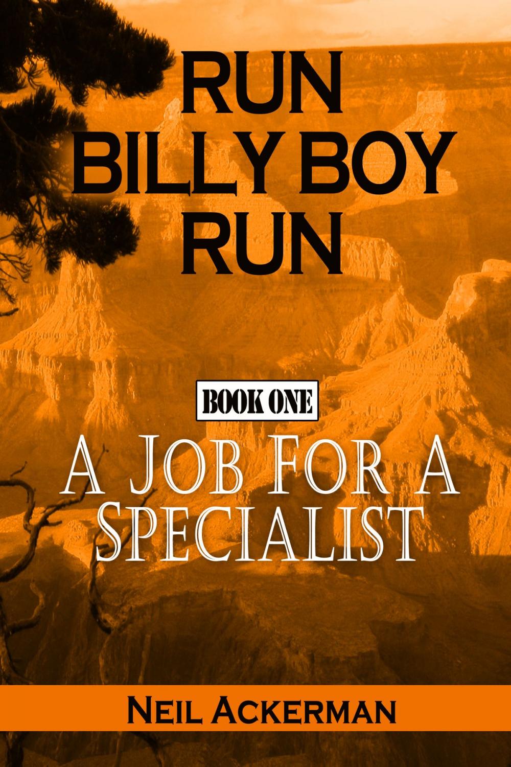 Big bigCover of Run Billy Boy Run Book One: A Job for a Specialist