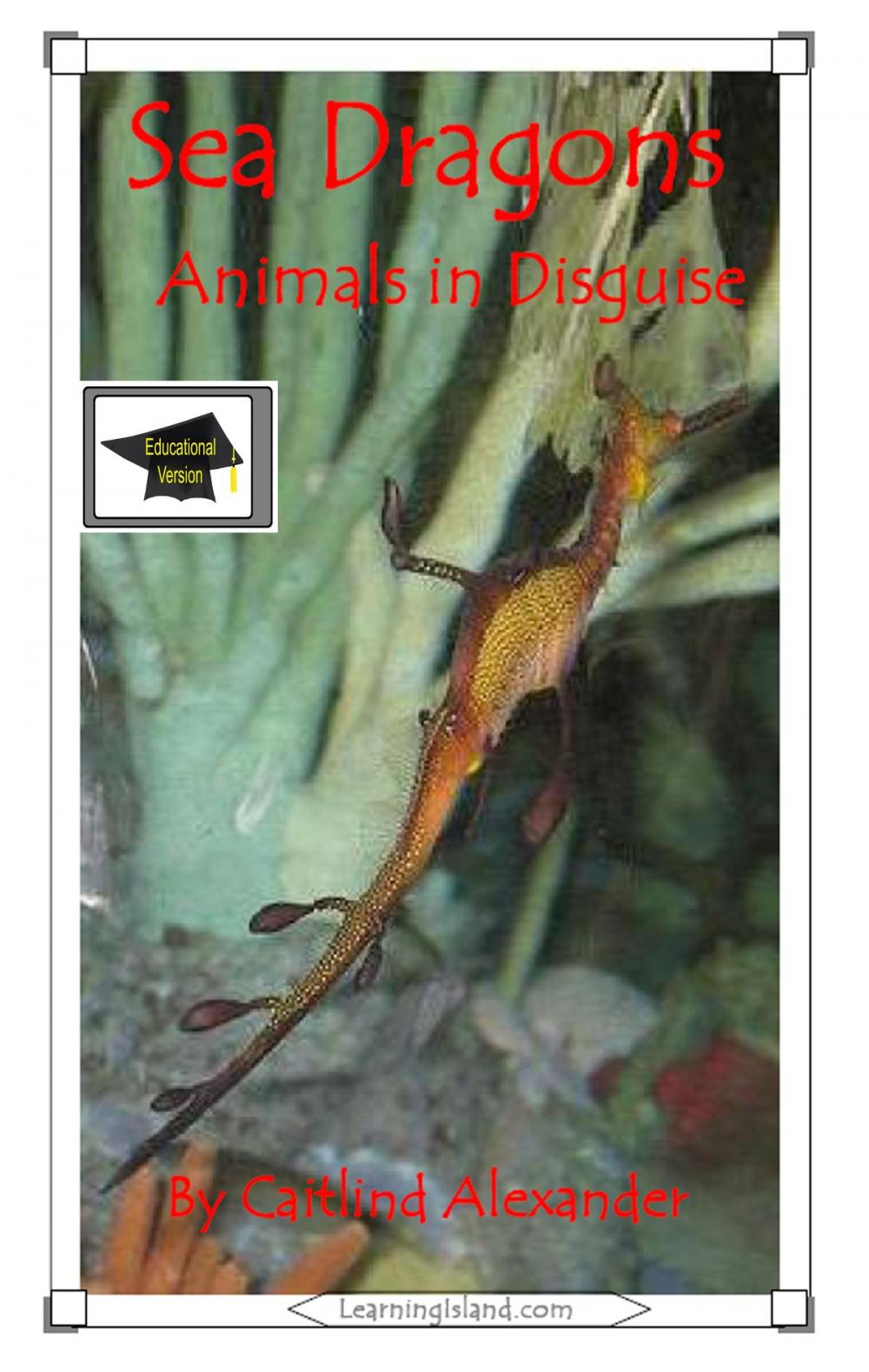 Big bigCover of Sea Dragons: Animals in Disguise: Educational Version