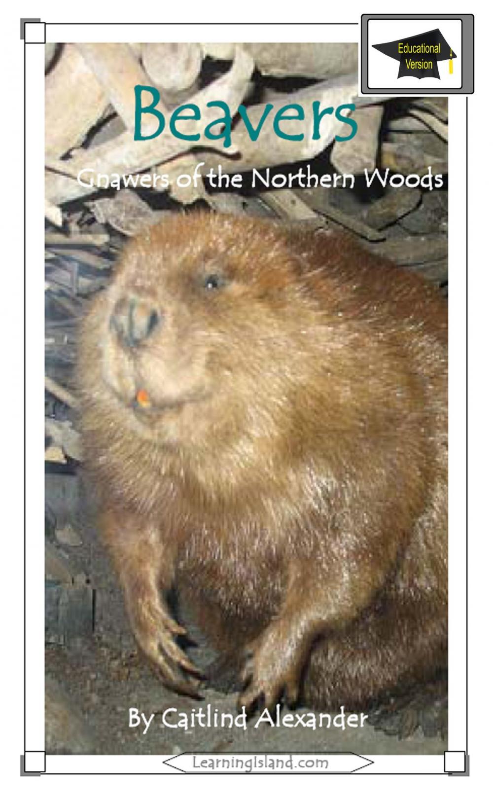 Big bigCover of Beavers: Gnawers of the Northern Woods: Educational Version