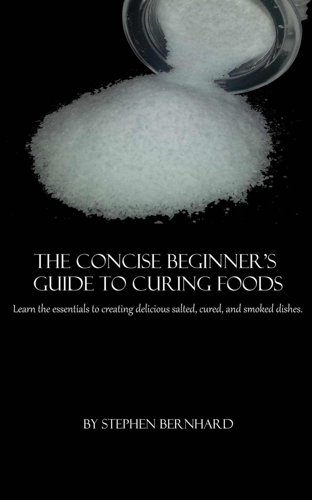 Big bigCover of The Concise Beginner's Guide to Curing Foods