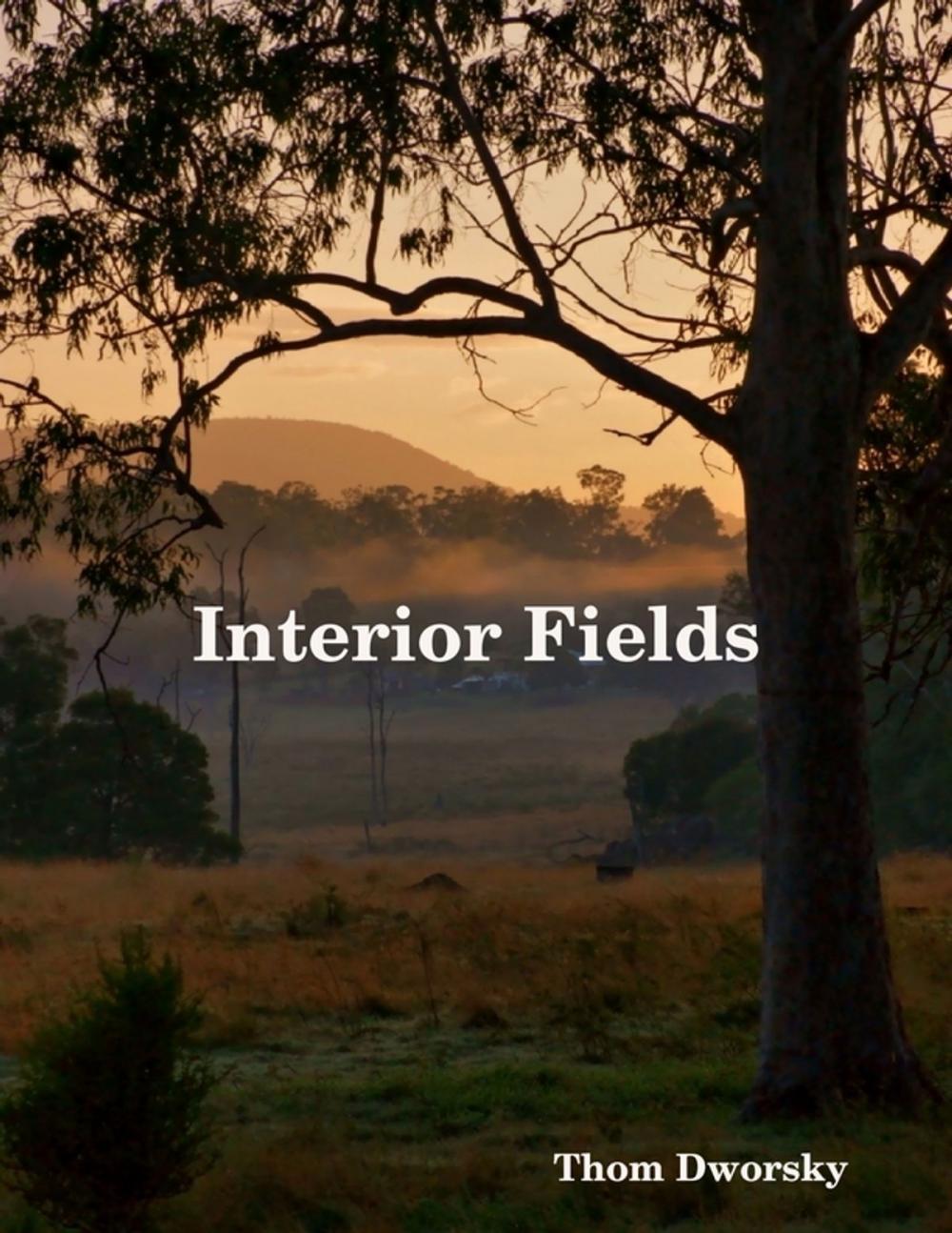 Big bigCover of Interior Fields