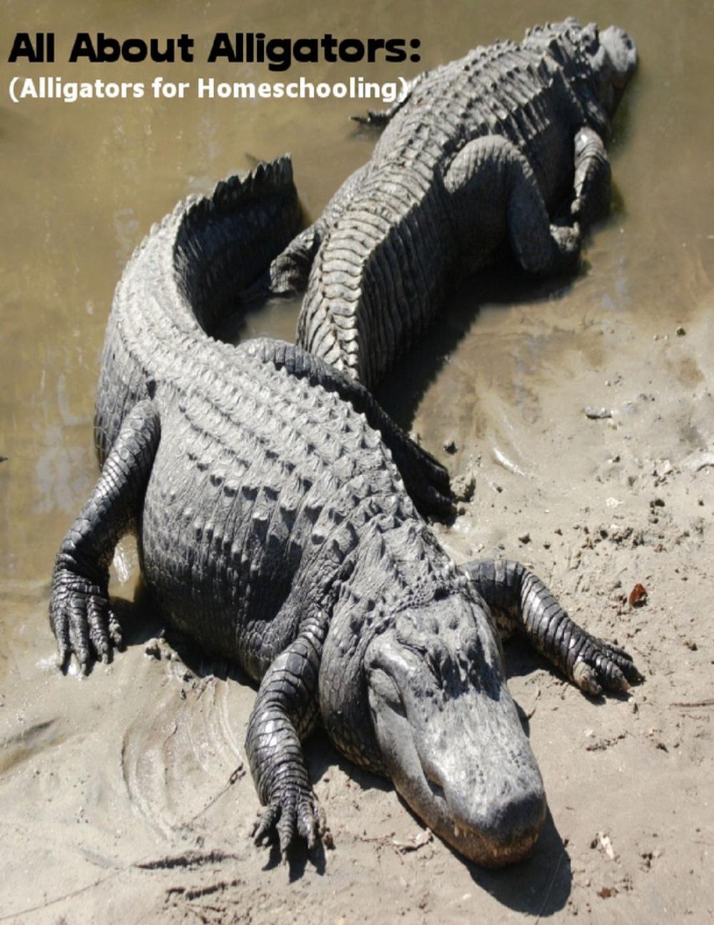 Big bigCover of All About Alligators: (Alligators for Homeschooling)