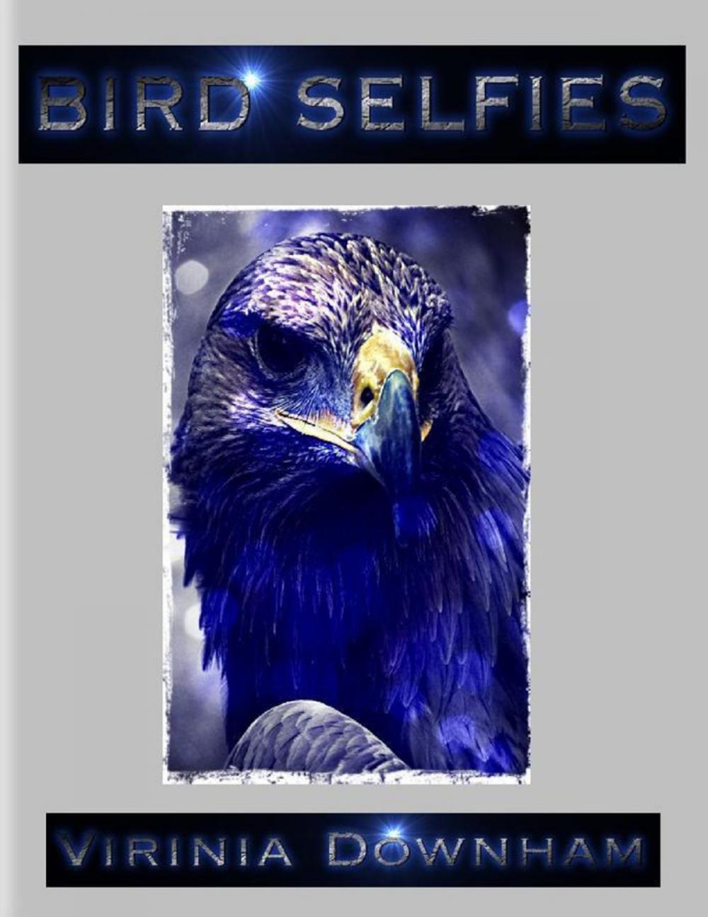 Big bigCover of Bird Selfies