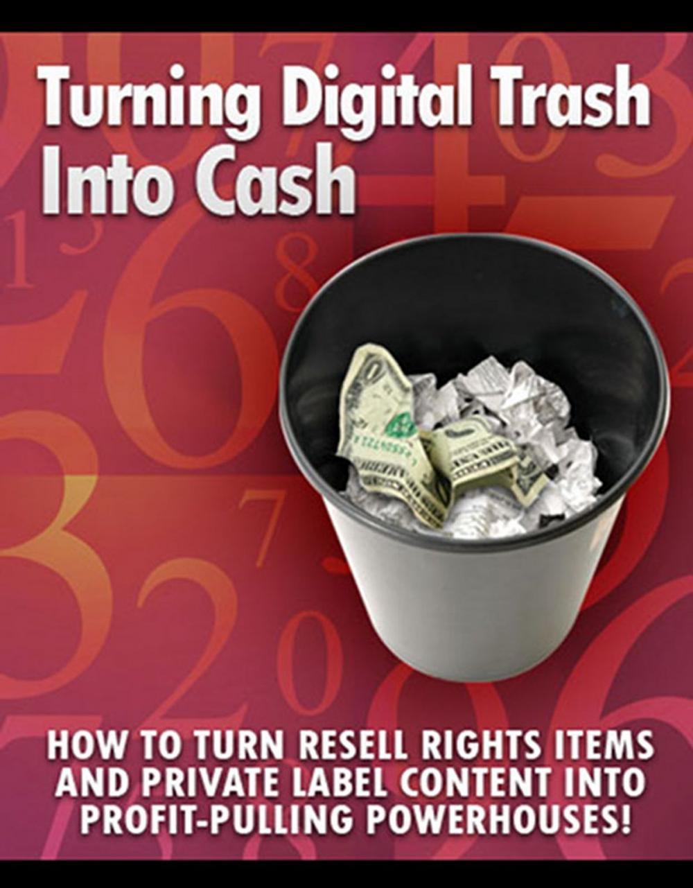 Big bigCover of Turning Digital Trash into Cash