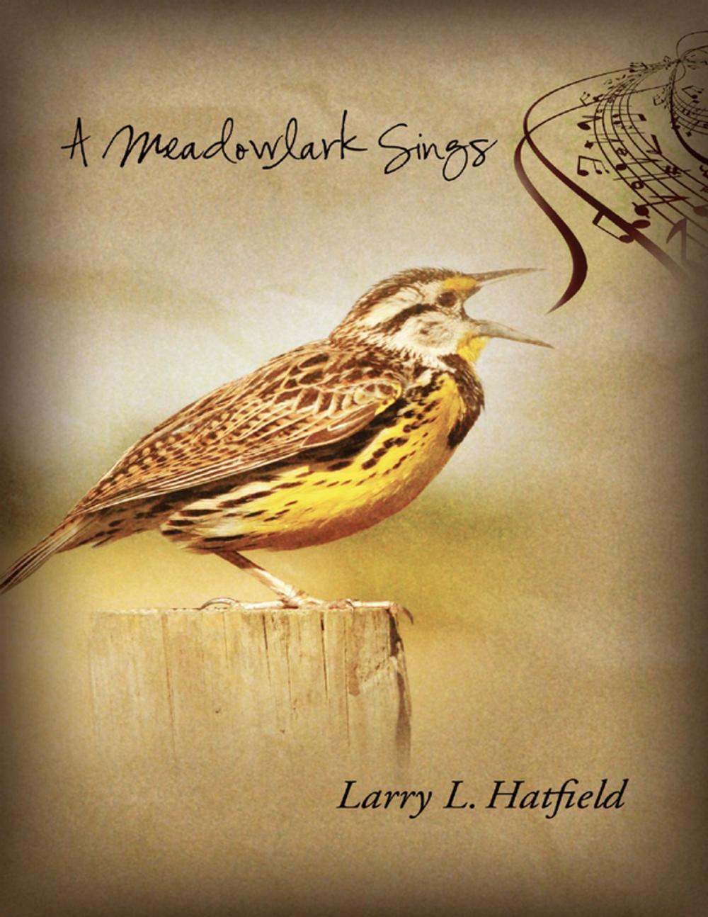 Big bigCover of A Meadowlark Sings