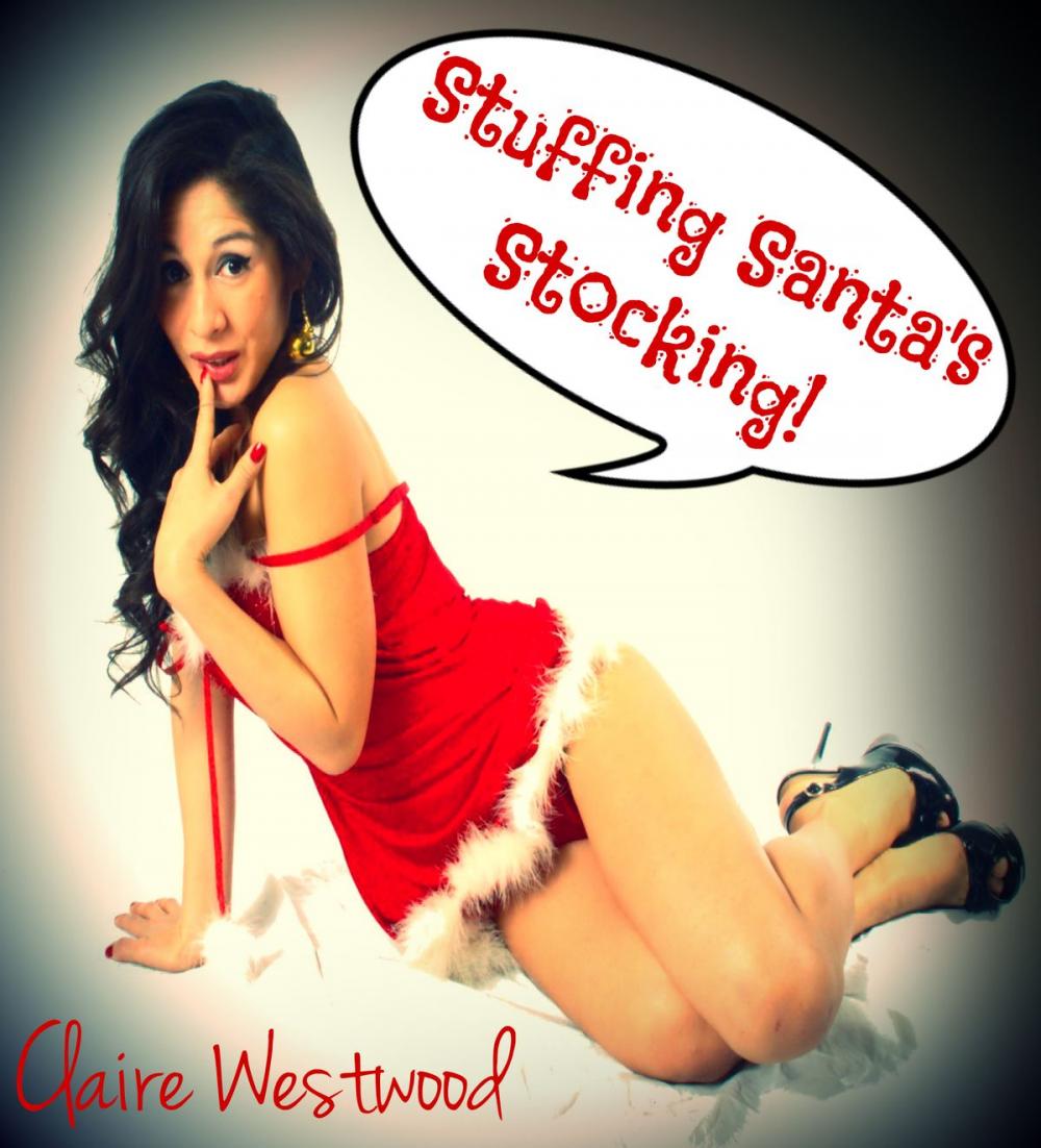 Big bigCover of Stuffing Santa's Stocking (Santa, Cheating, Creampie Erotica)