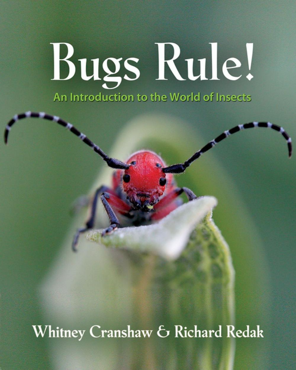 Big bigCover of Bugs Rule!